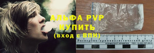сатива Заволжье