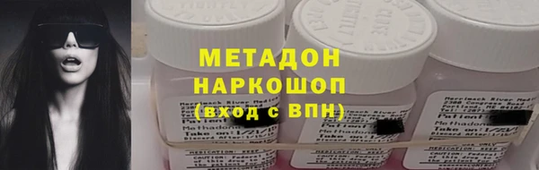 дживик Ельня