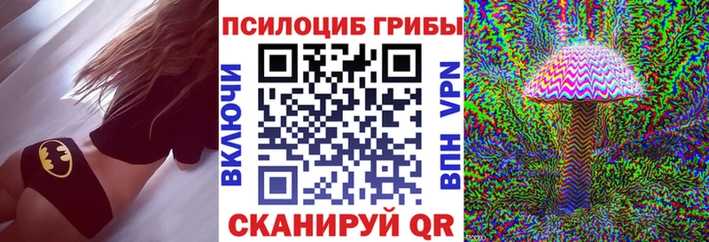 Галлюциногенные грибы Psilocybine cubensis  закладка  Коркино 